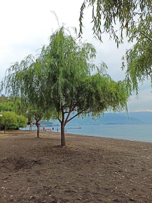 Luka Apartment In The Center Of Ohrid Buitenkant foto